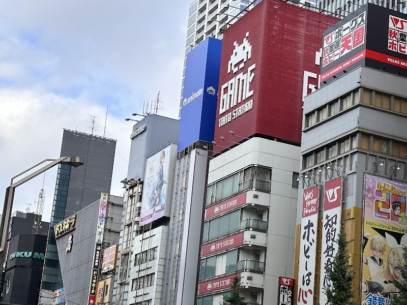Akihabara Electric Town