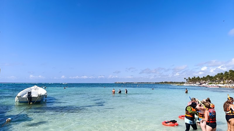 Akumal Sea Turtles