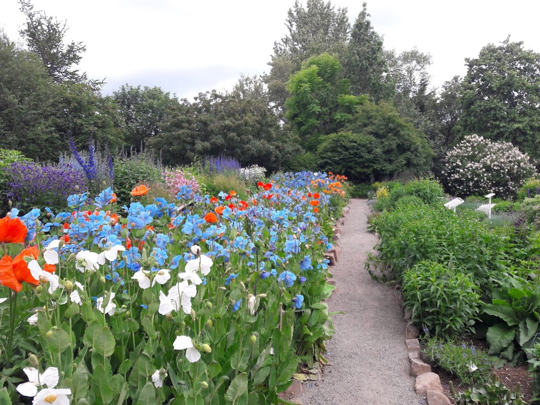 Akureyri Botanical Garden