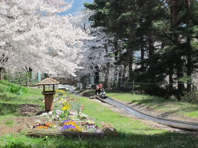 Alps Park