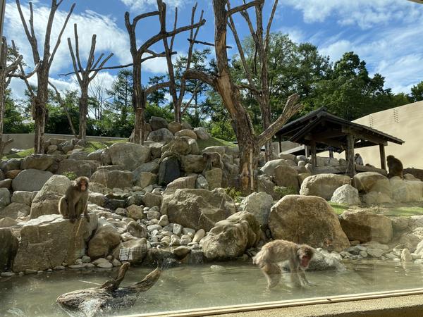 Alps Park