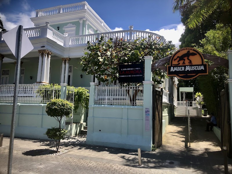 Amber Museum
