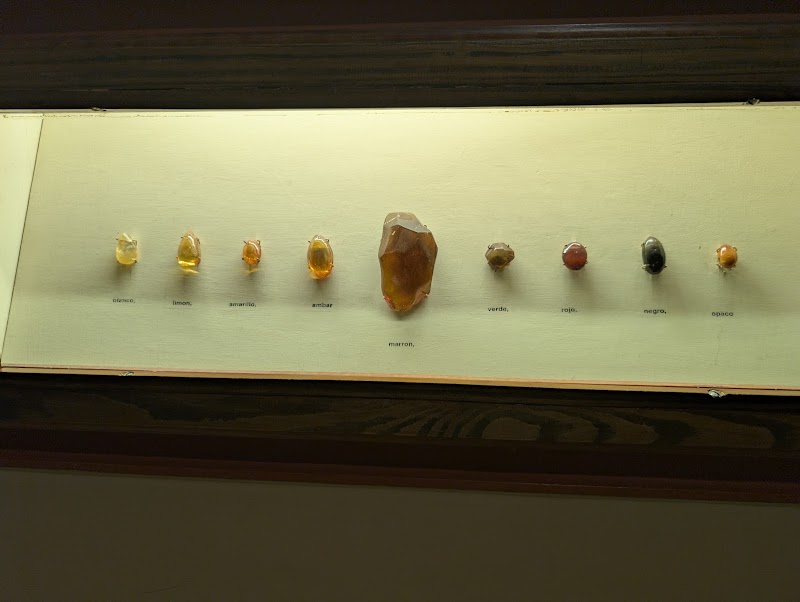 Amber Museum