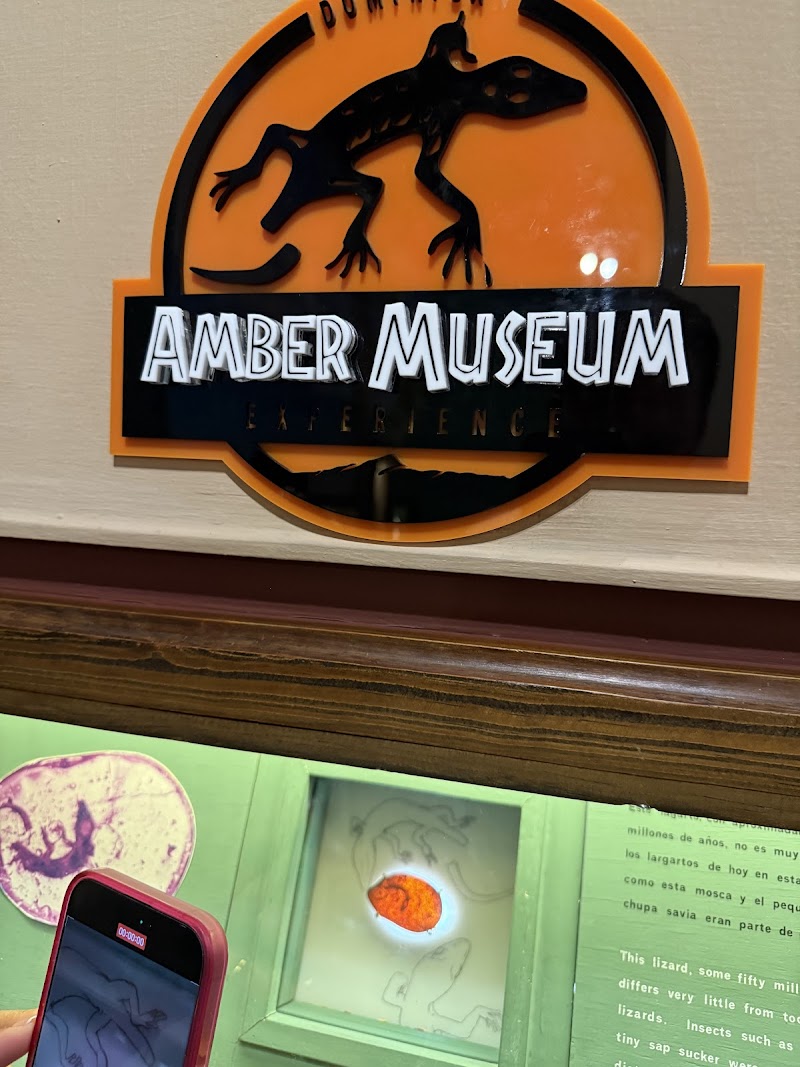 Amber Museum