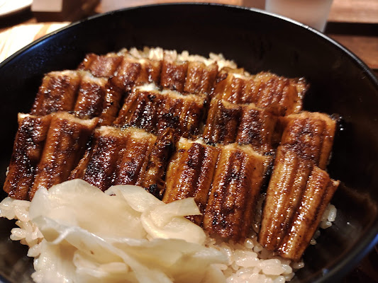 Anago Meshi Grilled Eel