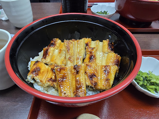 Anago Meshi Grilled Eel