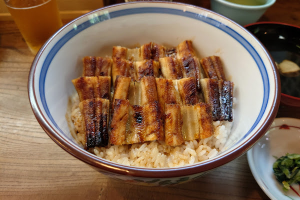 Anago Meshi Grilled Eel