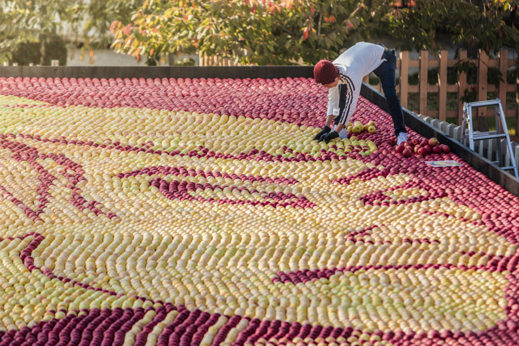 Aomori Apple Attractions