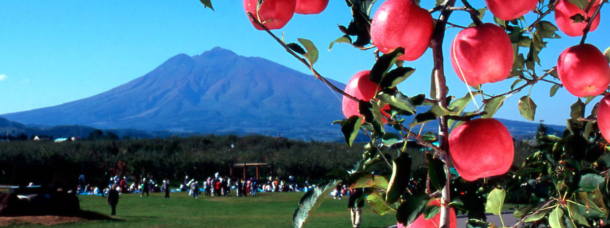 Aomori Apple Park
