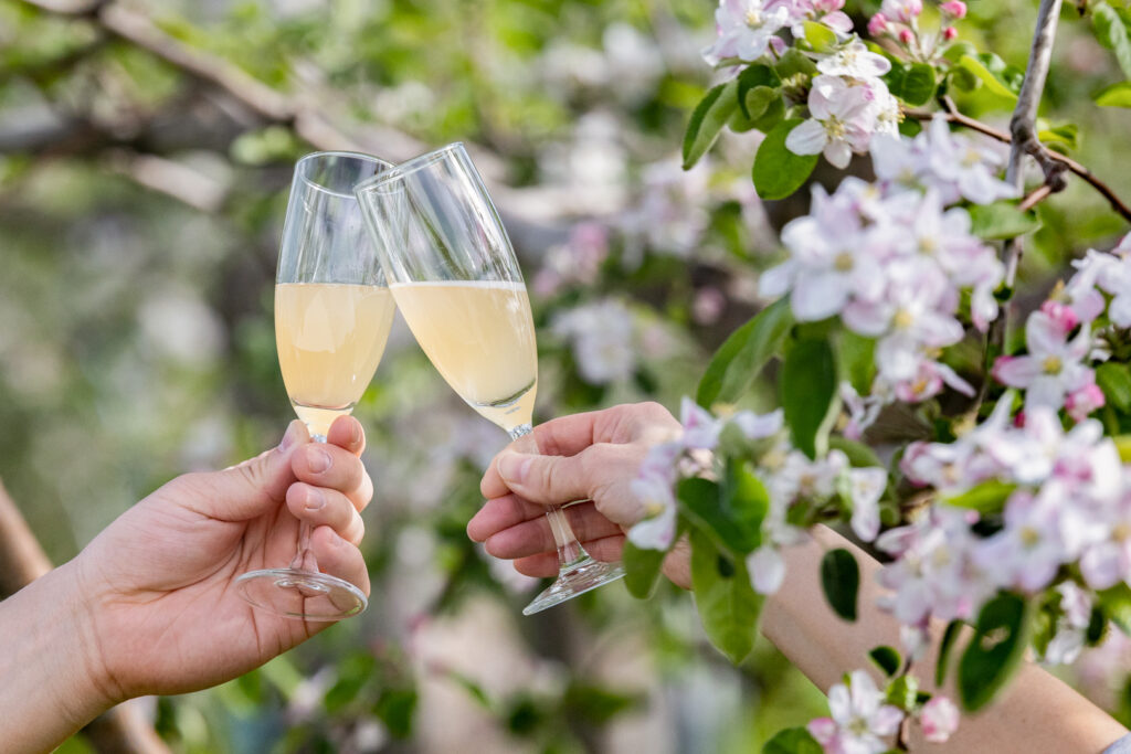 Aomori Craft Cidery