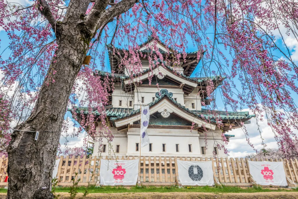 Aomori Craft Cidery