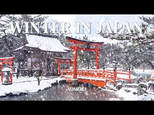 Aomori Kenmin Show (Local TV Culture)