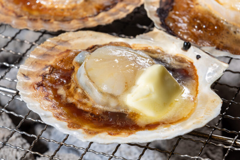 Aomori Scallops