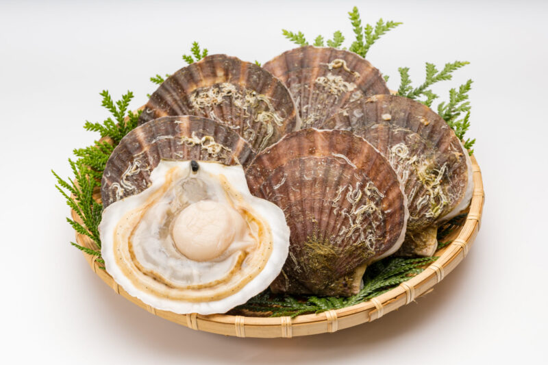 Aomori Scallops