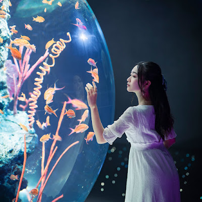 AQUARIUM×ART atoa