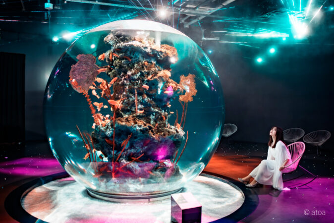 AQUARIUM×ART atoa
