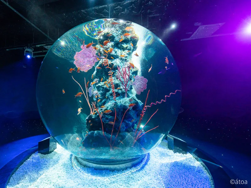 AQUARIUM×ART atoa