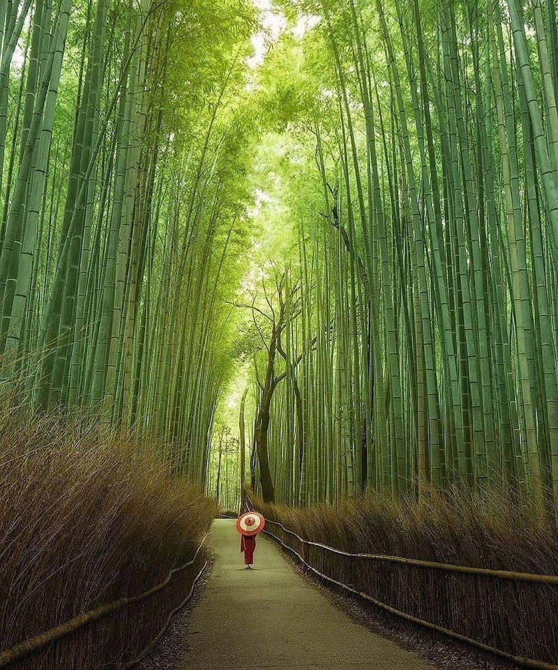 Arashiyama Mountains