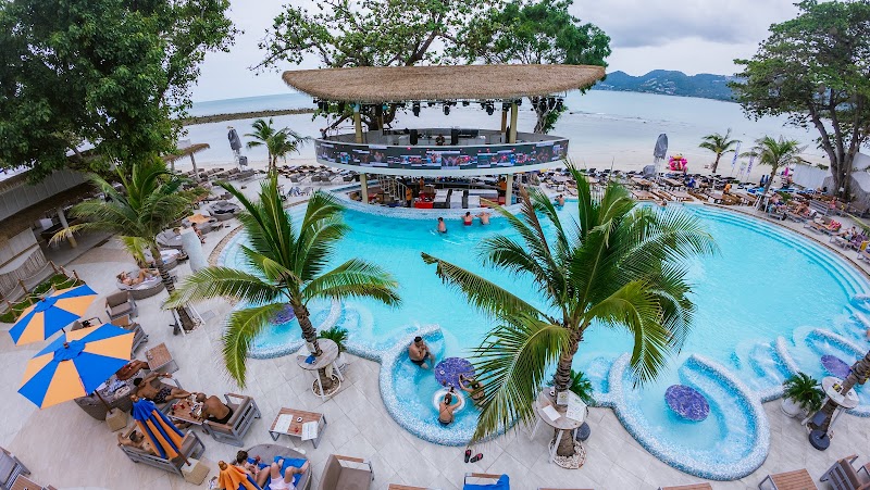 Ark Bar Beach Club