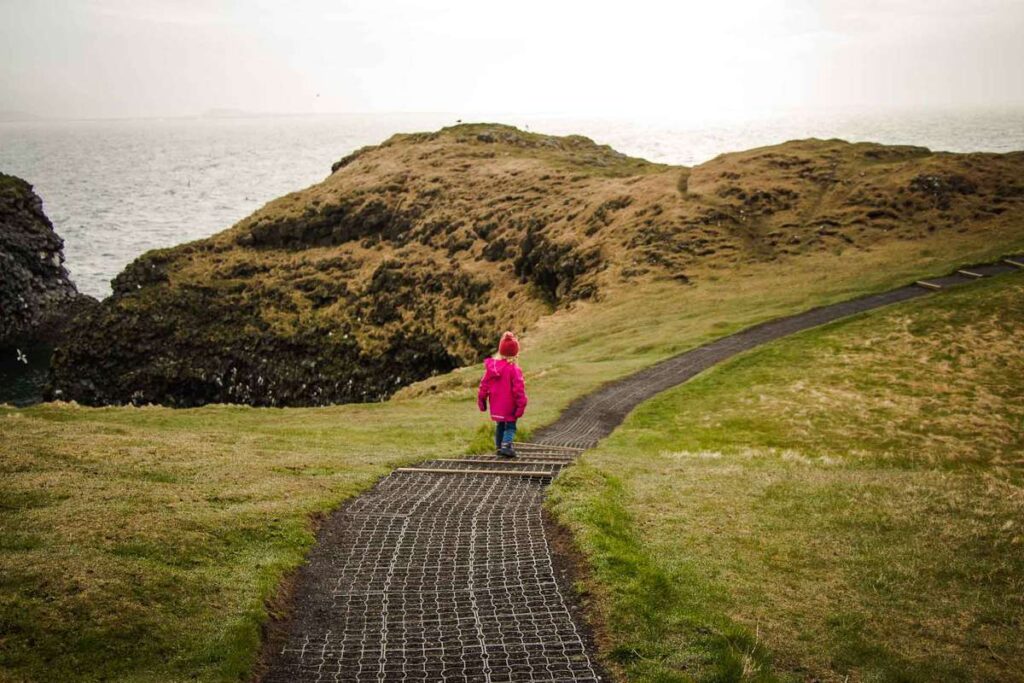 Arnarstapi to Hellnar Coastal Walk