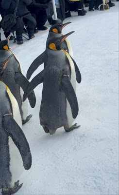 Asahiyama Zoo Day Trip