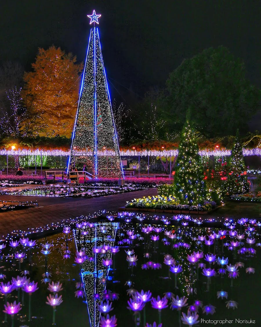 Ashikaga Flower Park