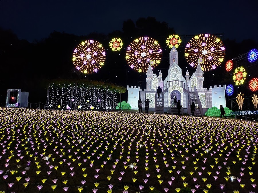 Ashikaga Flower Park
