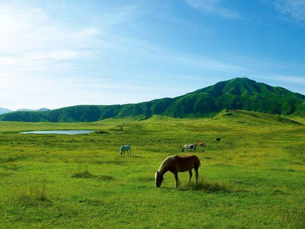 Aso Grasslands (Kusasenri)
