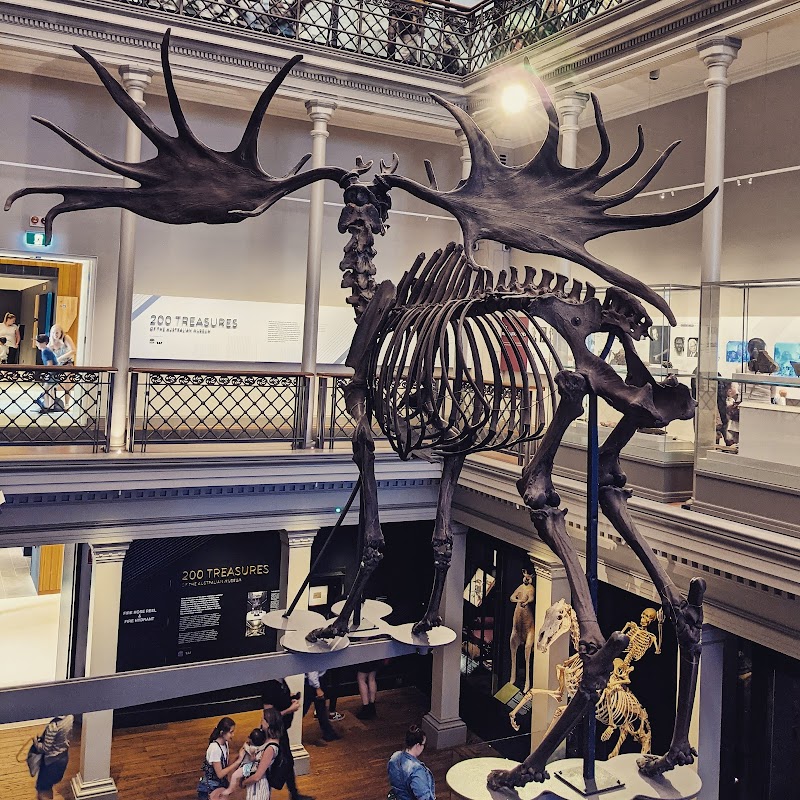 Australian Museum