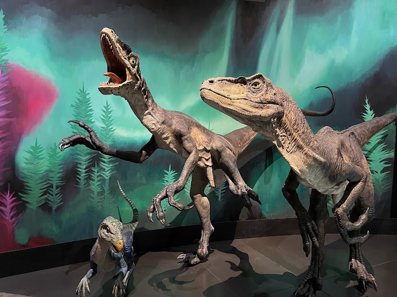 Australian Museum