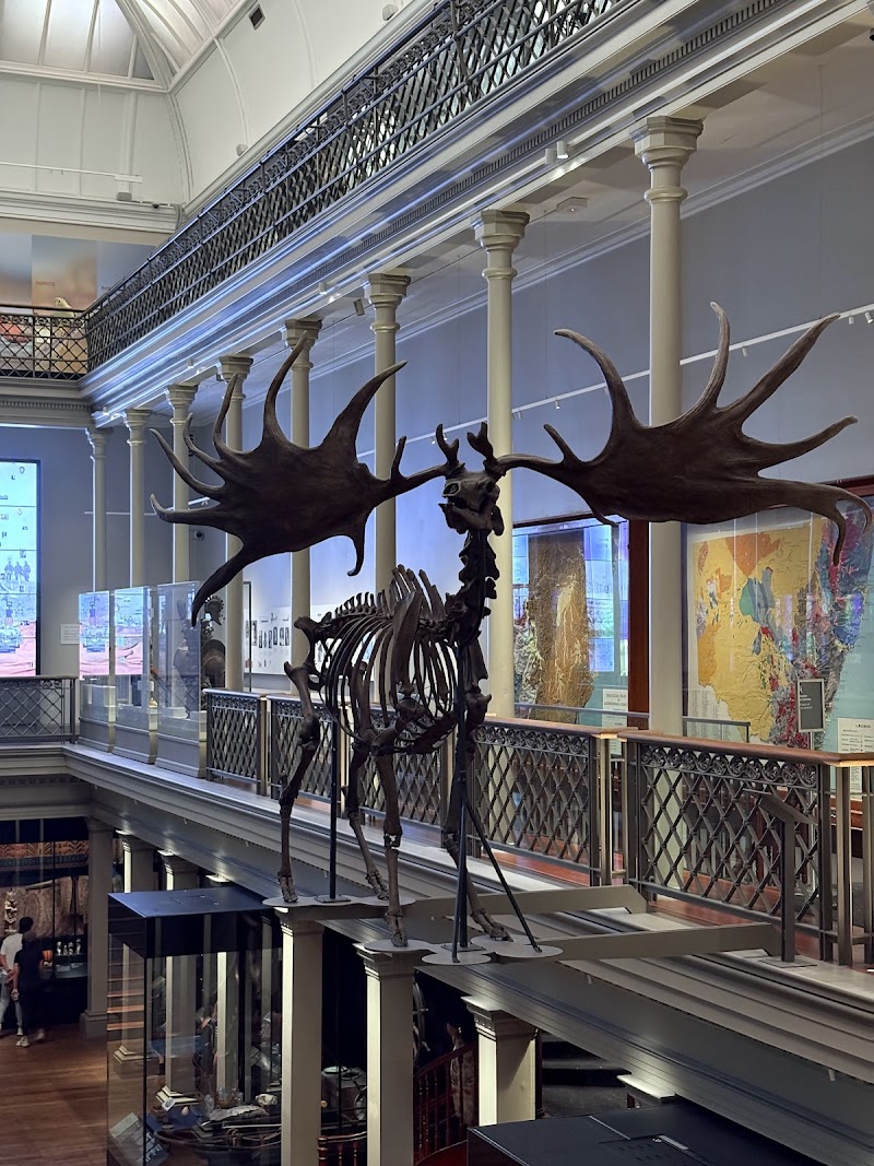 Australian Museum