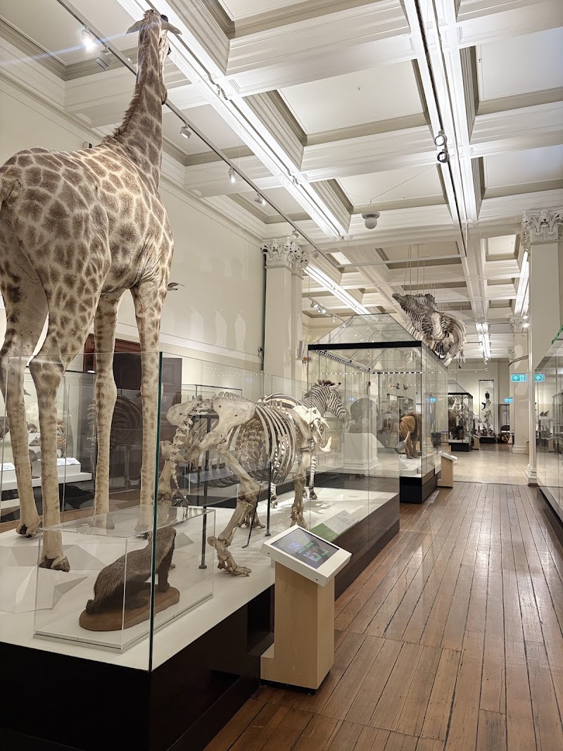 Australian Museum