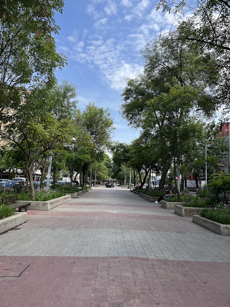 Avenida Chapultepec