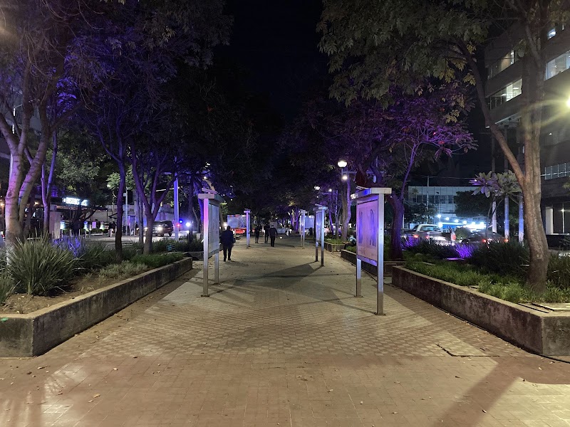 Avenida Chapultepec
