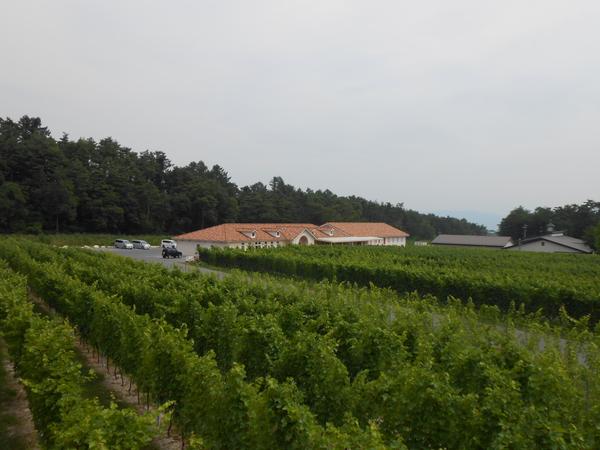 Azumino Winery