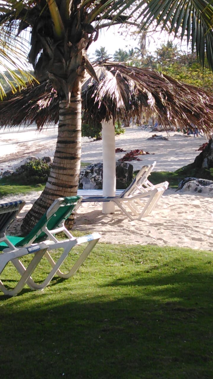 Beach BBQ at Playa Rincón