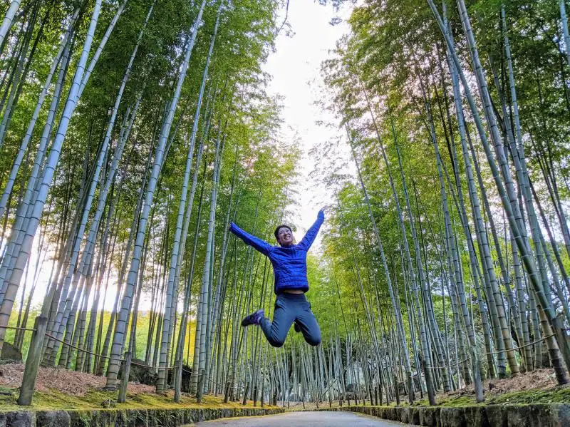 Beppu Bamboo Forest Walk