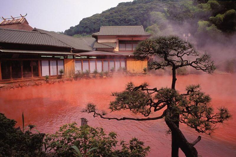Beppu Bay Service Cruise