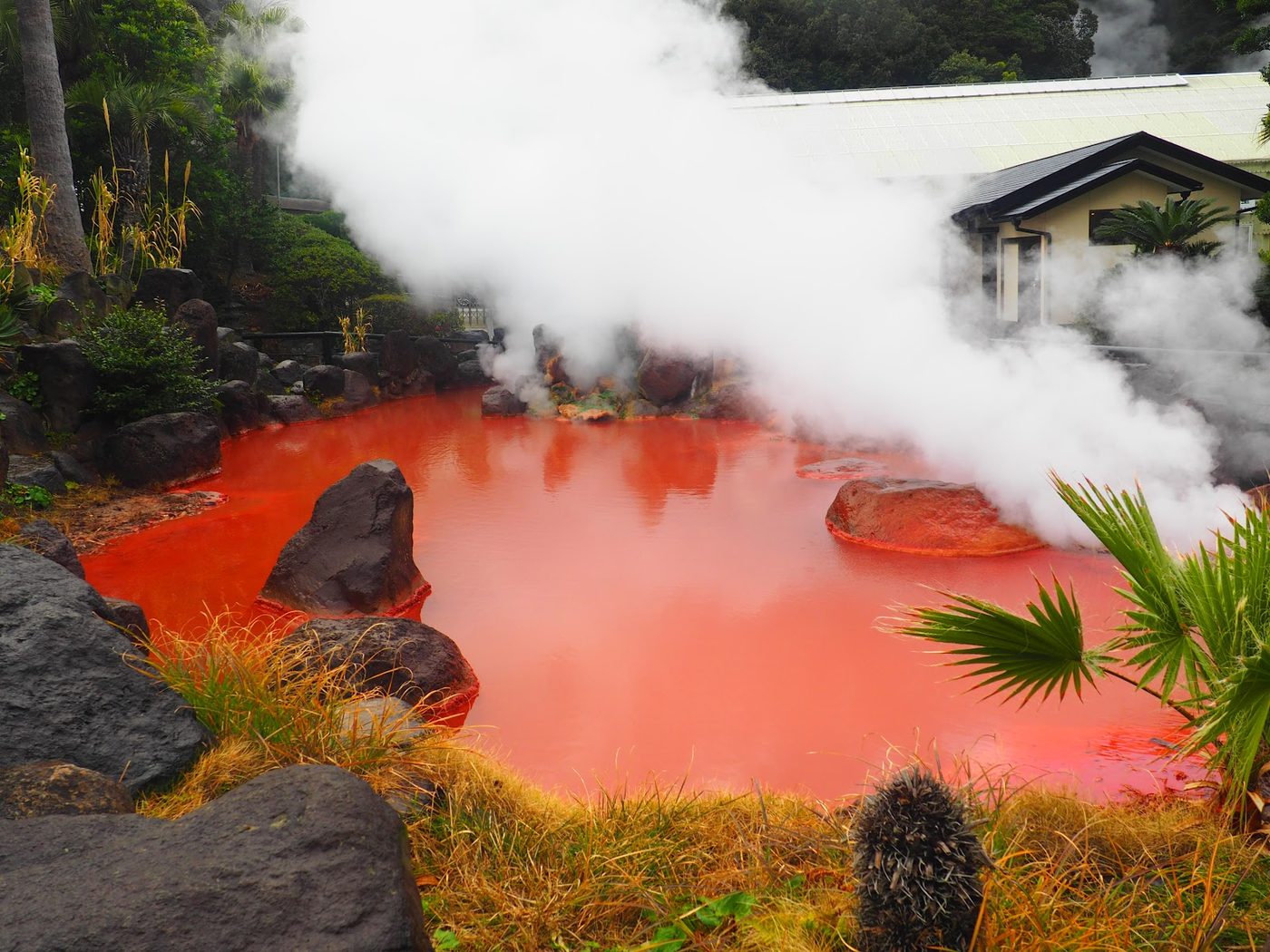 Beppu Hells Tour