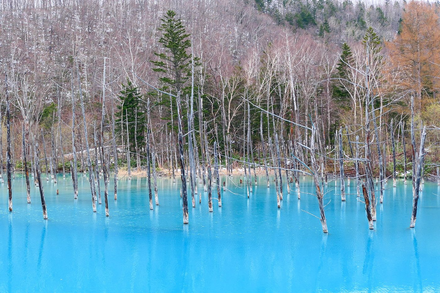 Biei Blue Pond