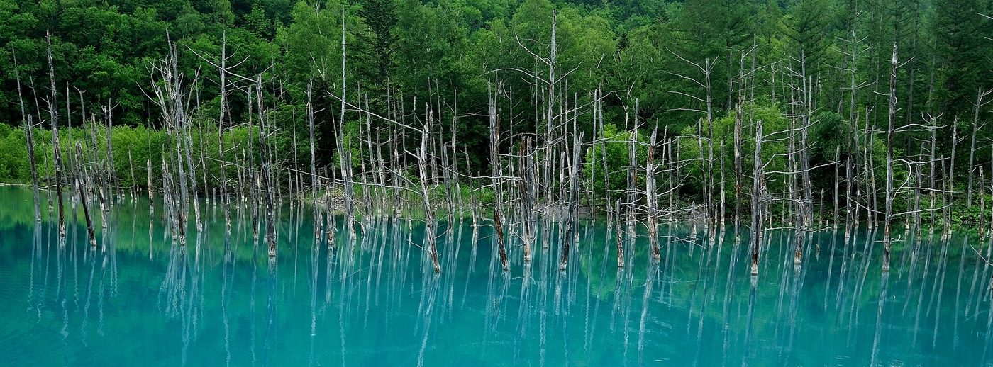 Biei Blue Pond