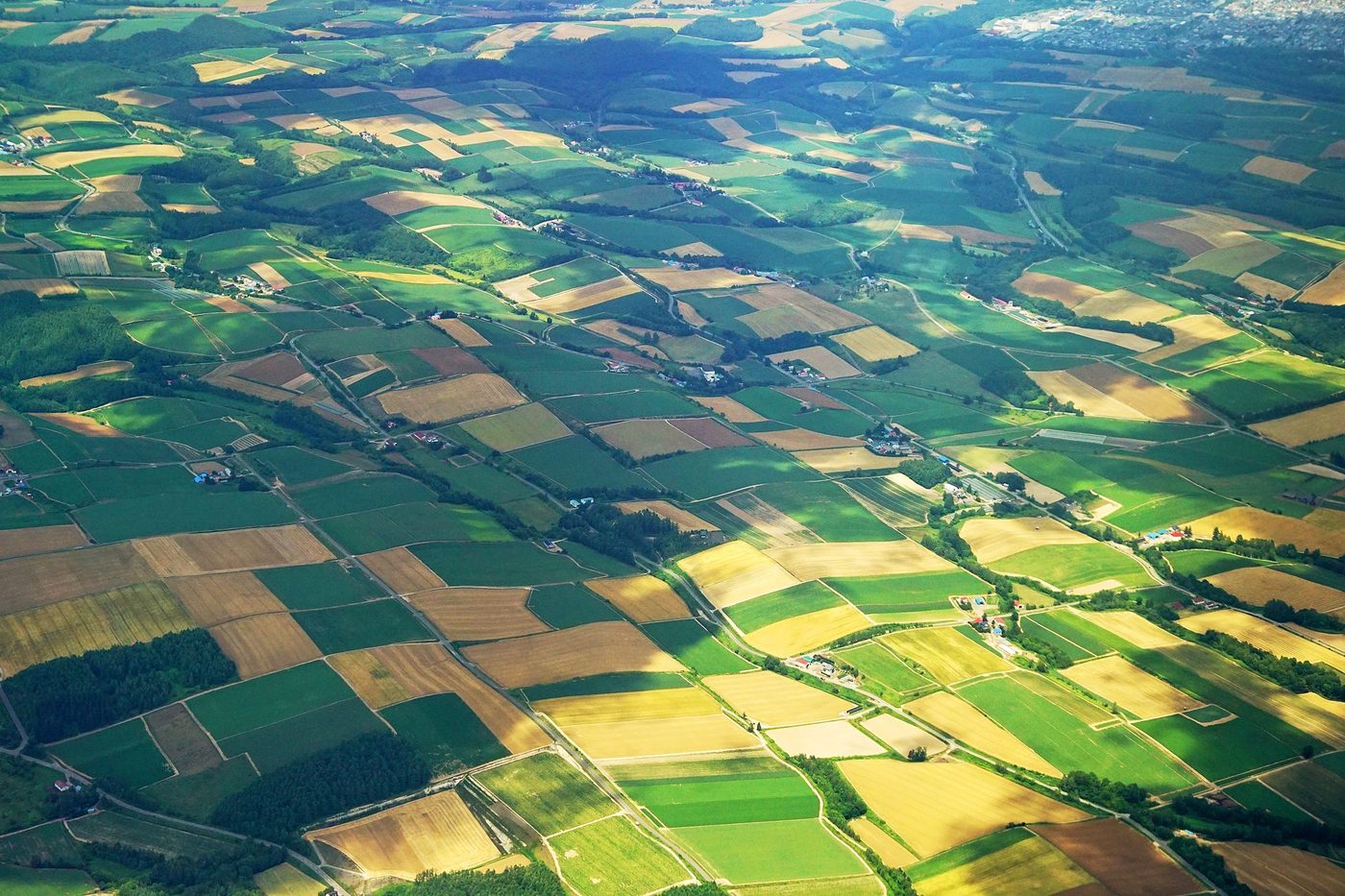 Biei Patchwork Road