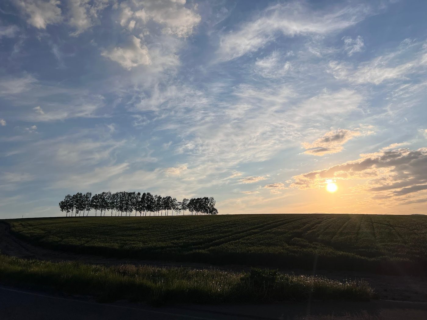 Biei Patchwork Road