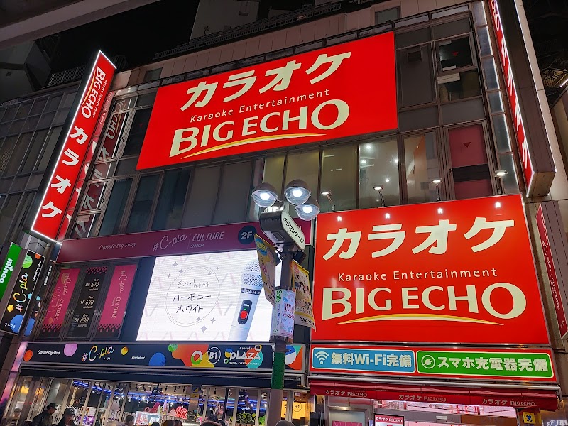 Big Echo Karaoke Shibuya