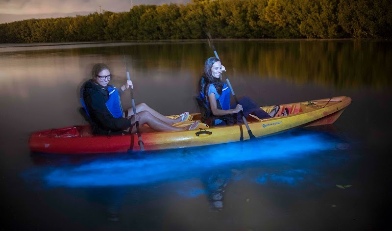 Bioluminescent Bay Kayak Tour