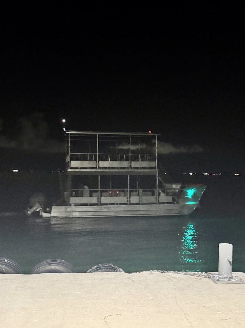 Bioluminescent Bay Kayak Tour