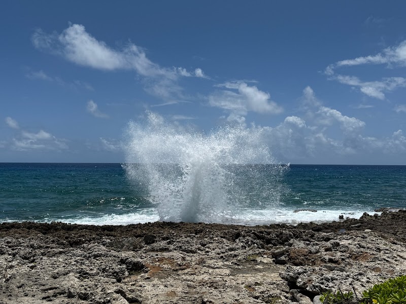 Blow Holes