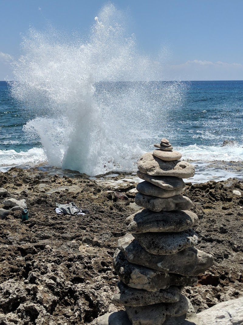 Blow Holes