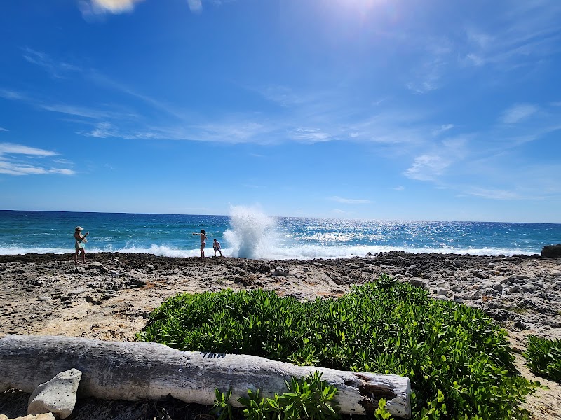 Blow Holes