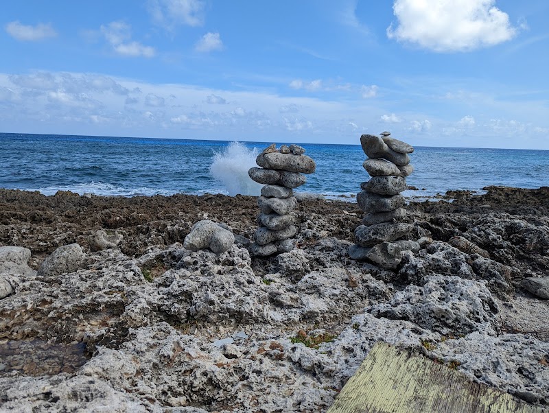 Blow Holes